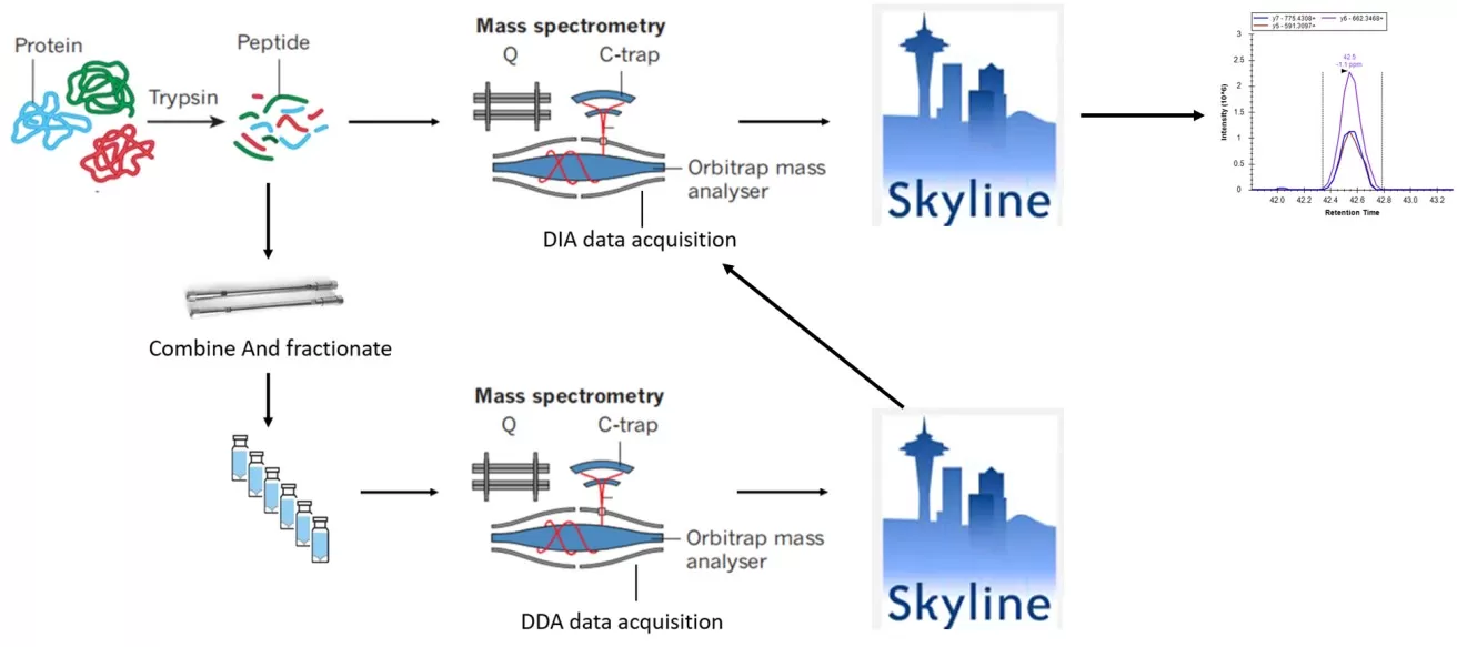 Figure 3: PRM Targeted Protein Experiment Workflow